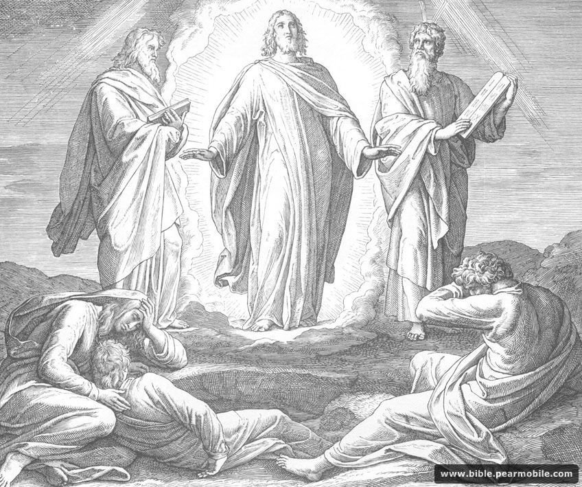 متّی  17:8 - Jesus’ Transfiguration