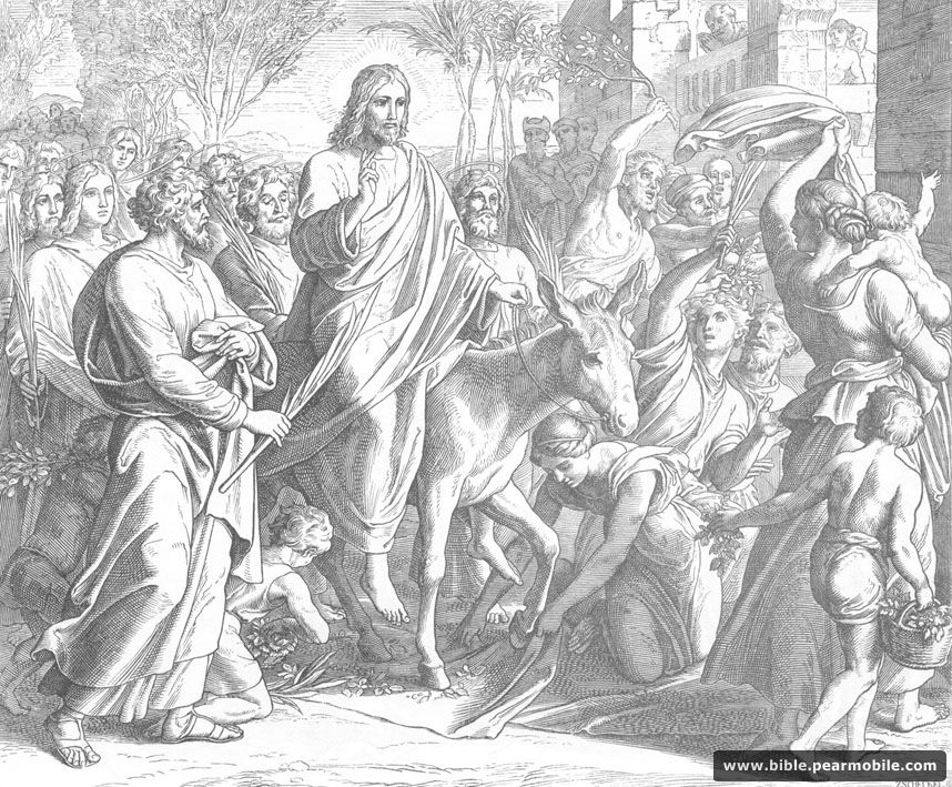 Matius 21:9 - Palm Sunday Entry by Jesus