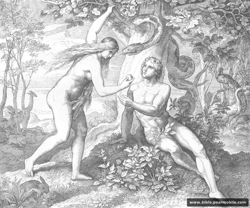 سفر التكوين 3:6 - Adam & Eve Eat Forbidden Fruit