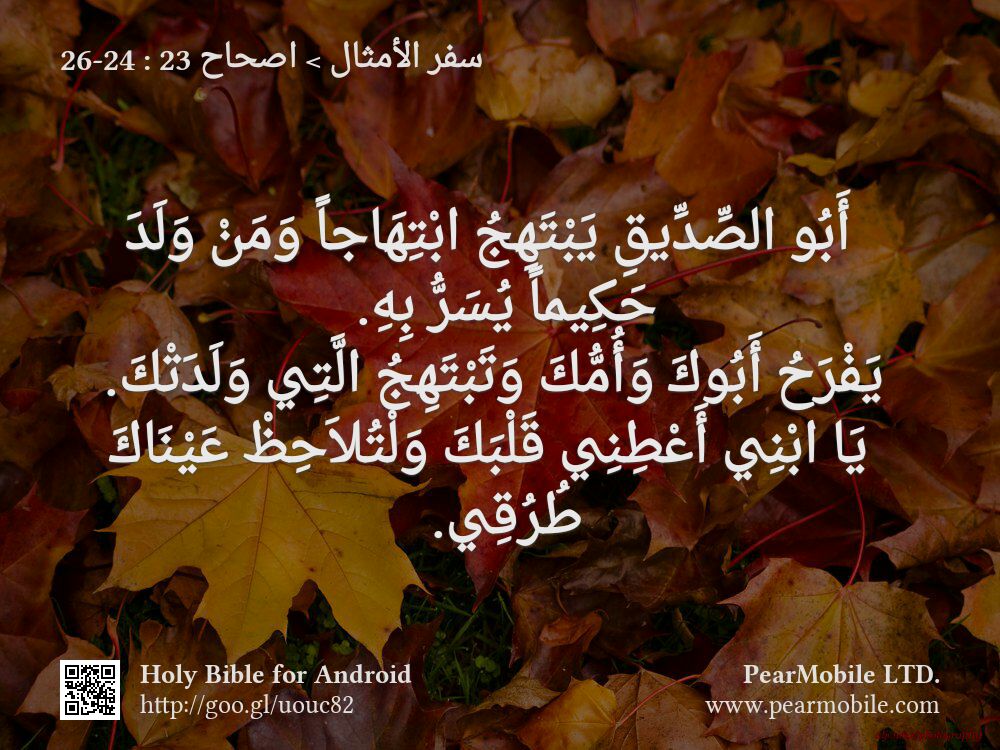 سفر الأمثال, اصحاح 23:24-26