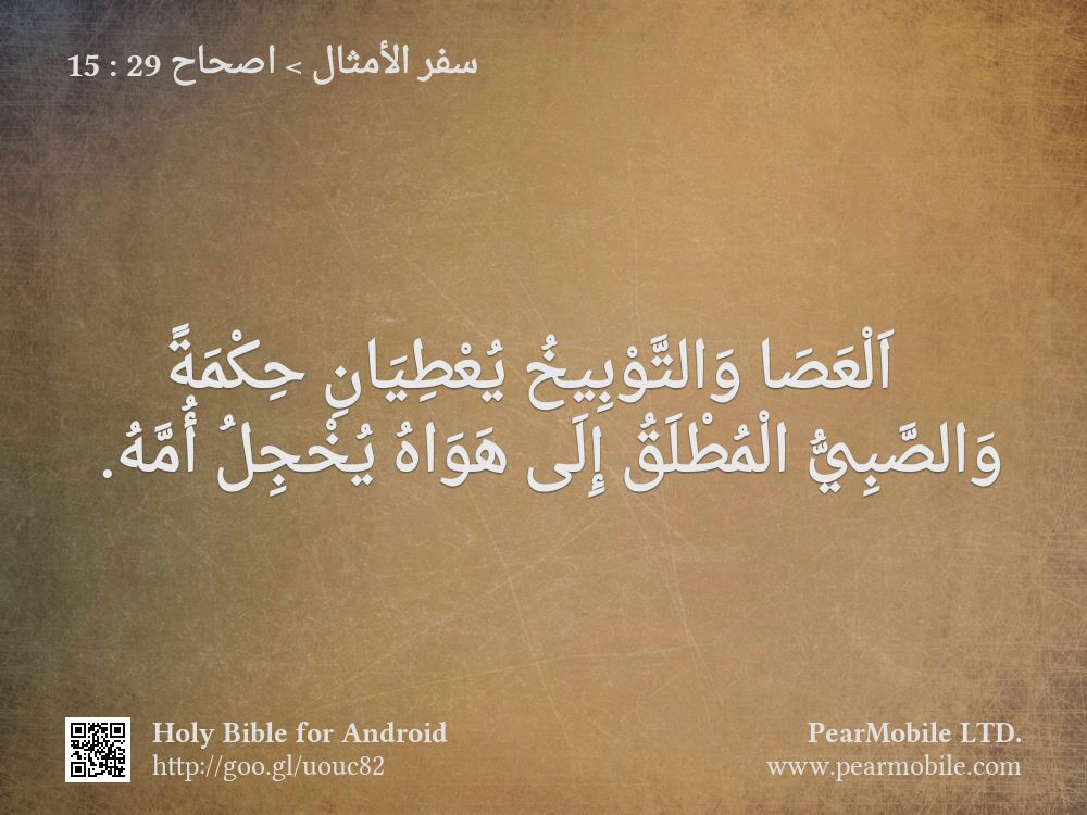 سفر الأمثال, اصحاح 29:15