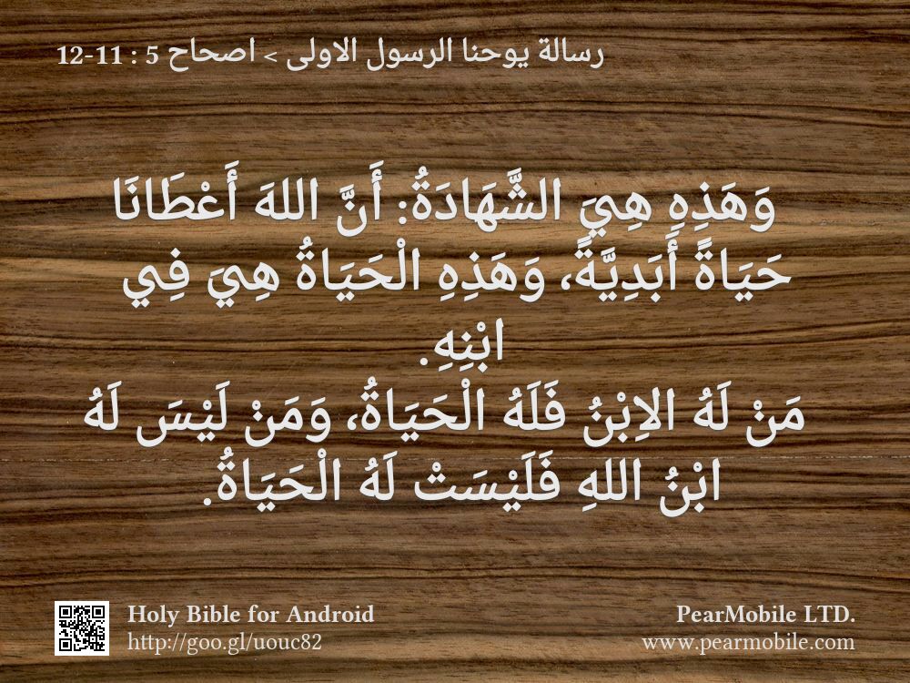 رسالة يوحنا الرسول الاولى, اصحاح 5:11-12