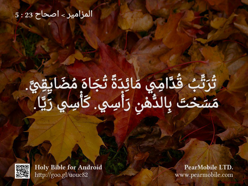 المزامير, اصحاح 23:5