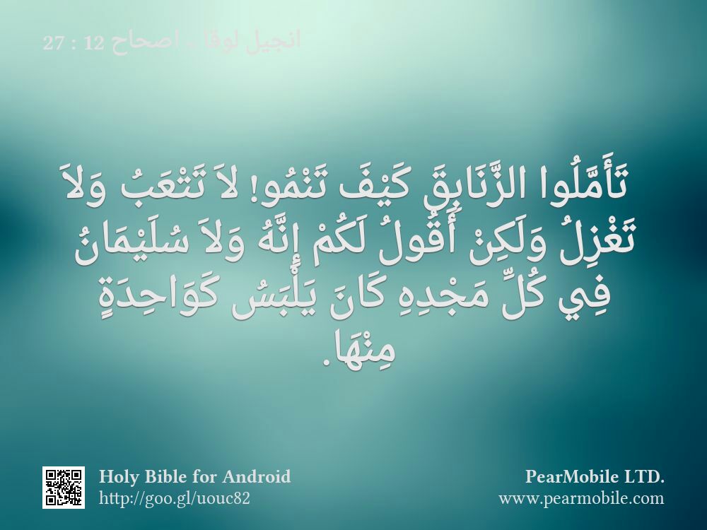 انجيل لوقا, اصحاح 12:27