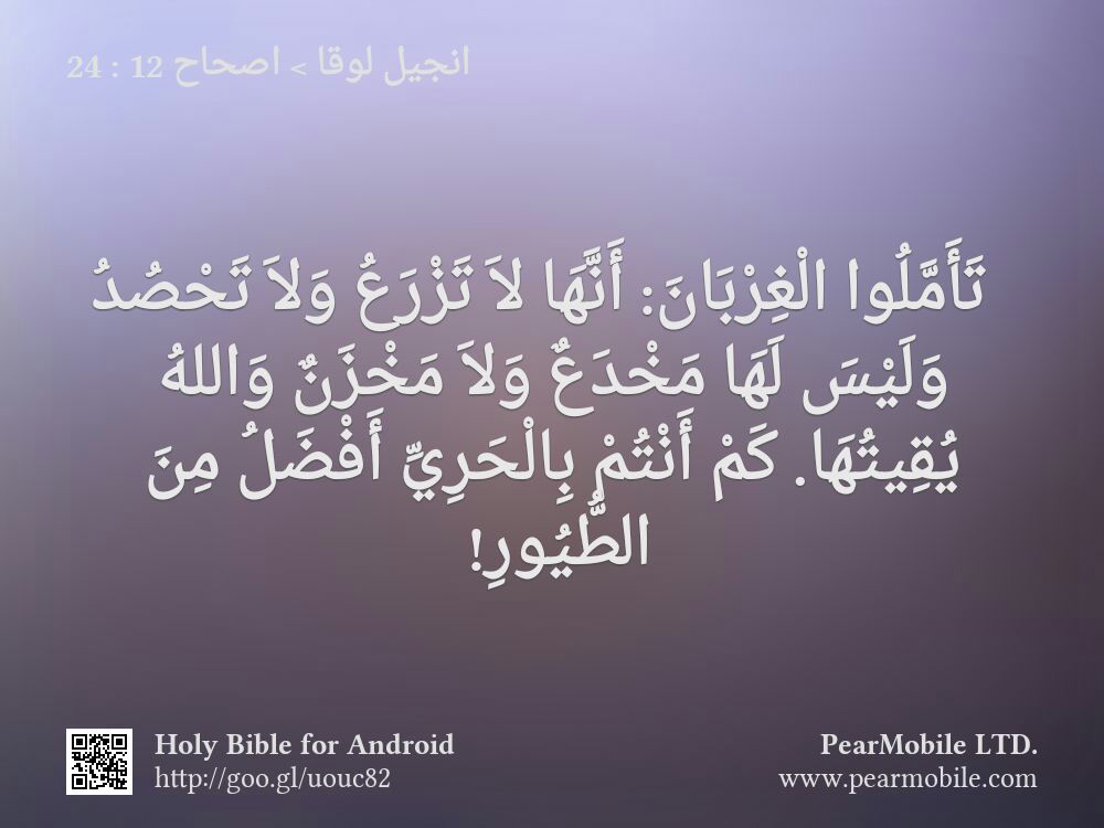انجيل لوقا, اصحاح 12:24