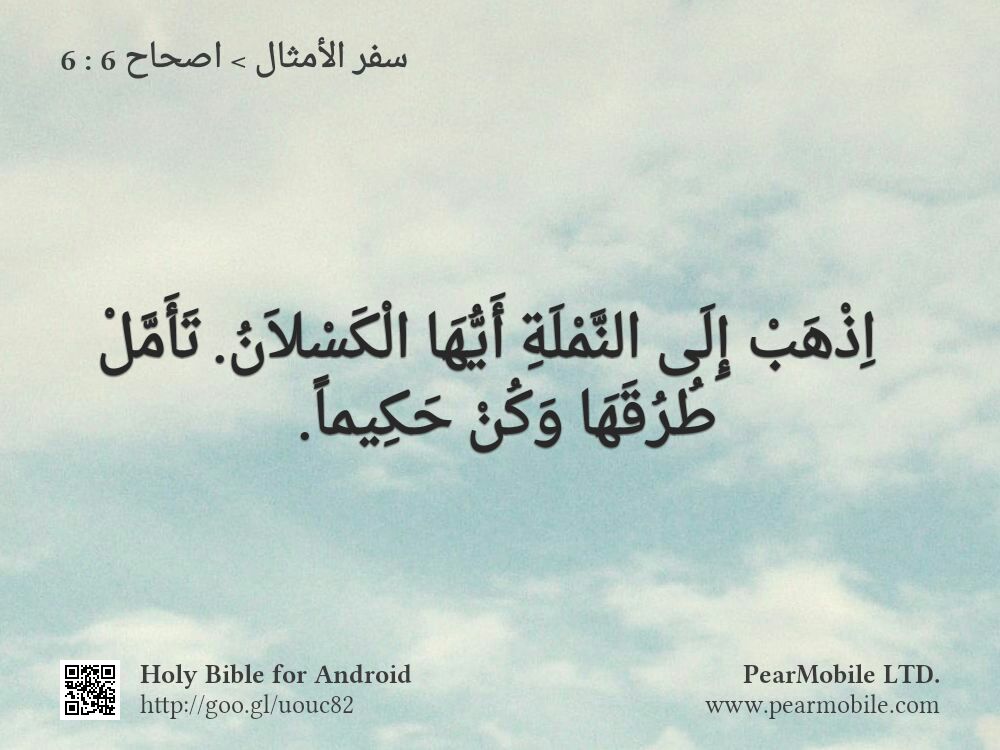 سفر الأمثال, اصحاح 6:6