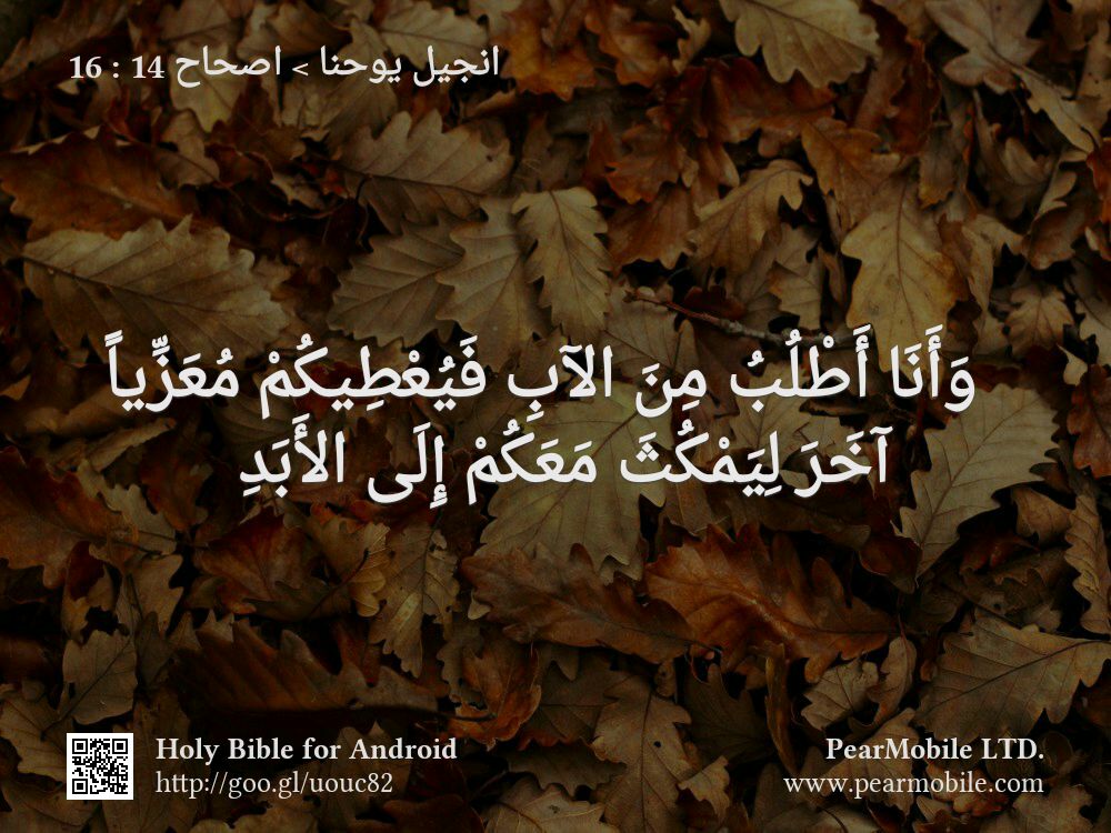 انجيل يوحنا, اصحاح 14:16