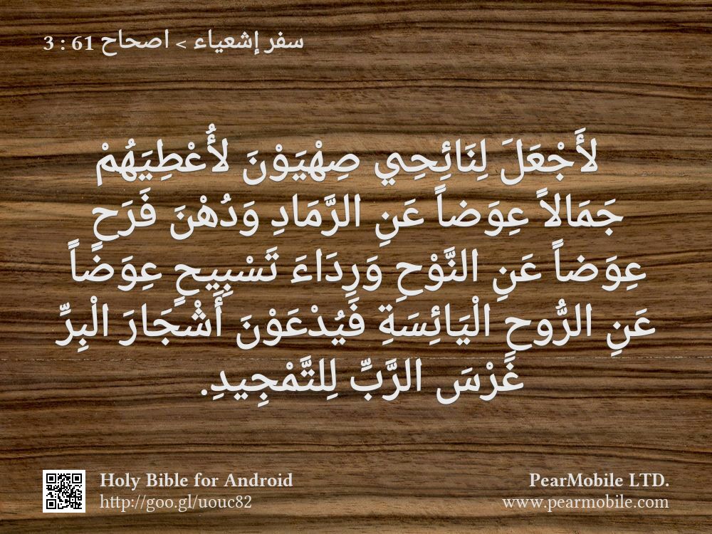 سفر إشعياء, اصحاح 61:3