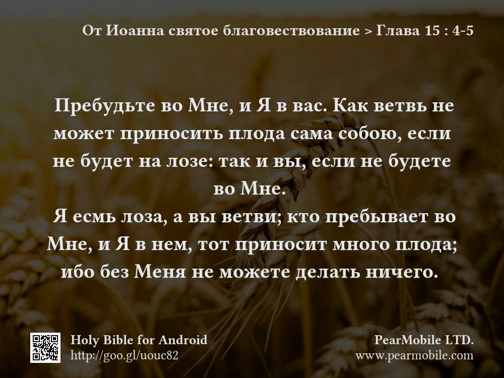 От Иоанна святое благовествование, Глава 15:4-5