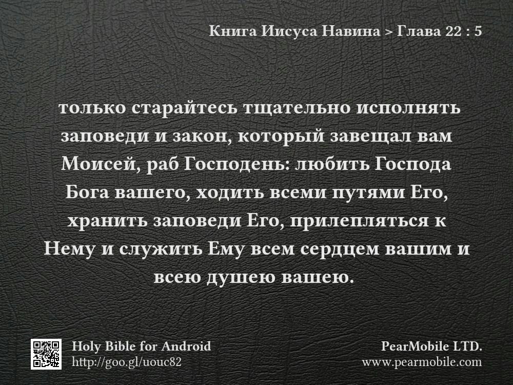 Книга Иисуса Навина, Глава 22:5