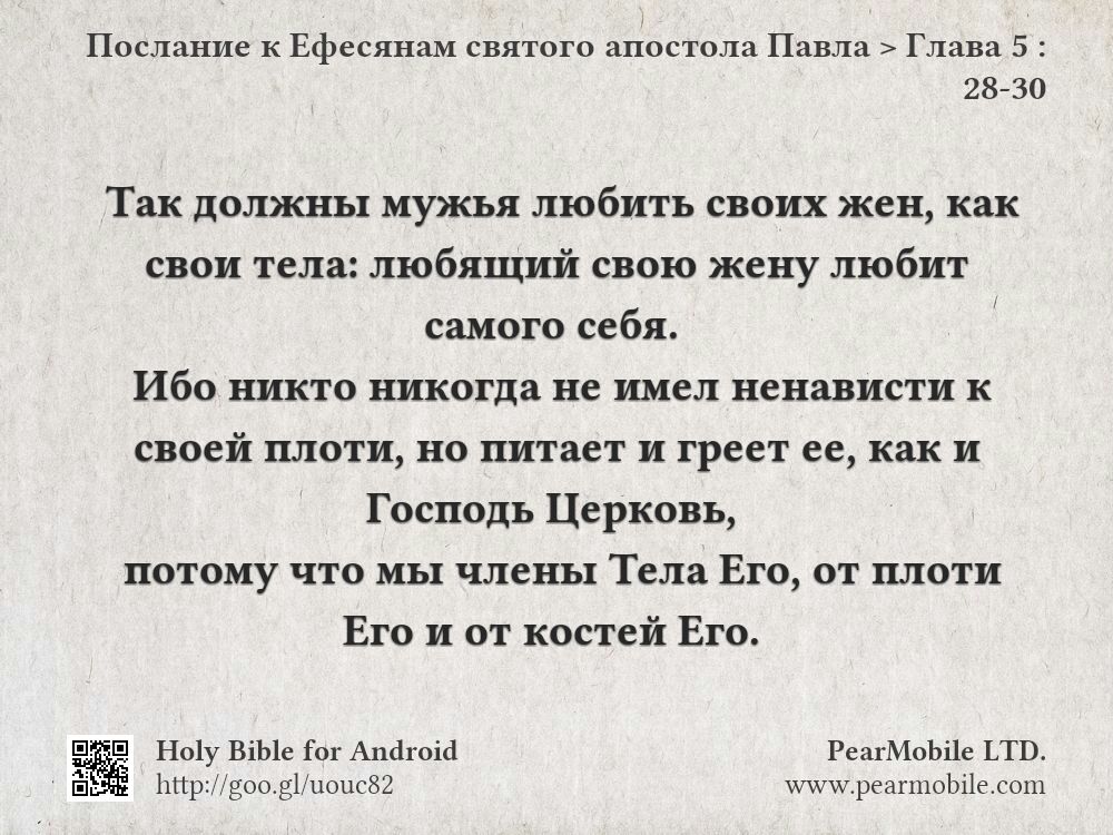 Послание к Ефесянам святого апостола Павла, Глава 5:28-30