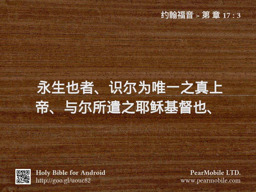 约翰福音, 第 章 17:3