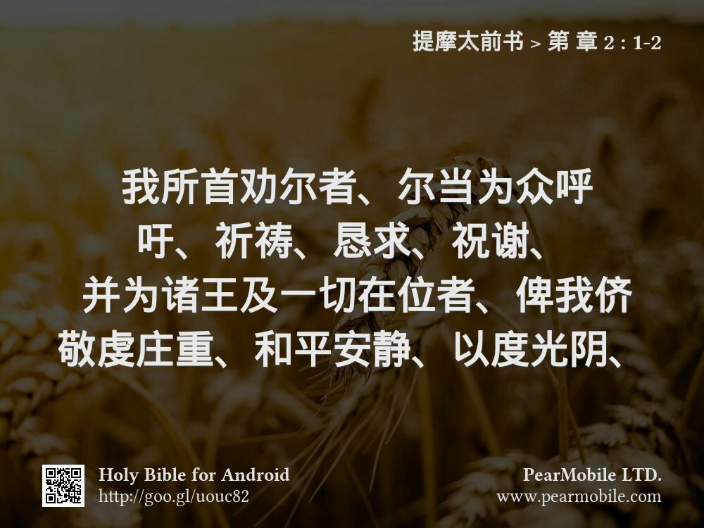 提摩太前书, 第 章 2:1-2