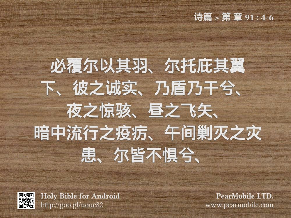 诗篇, 第 章 91:4-6