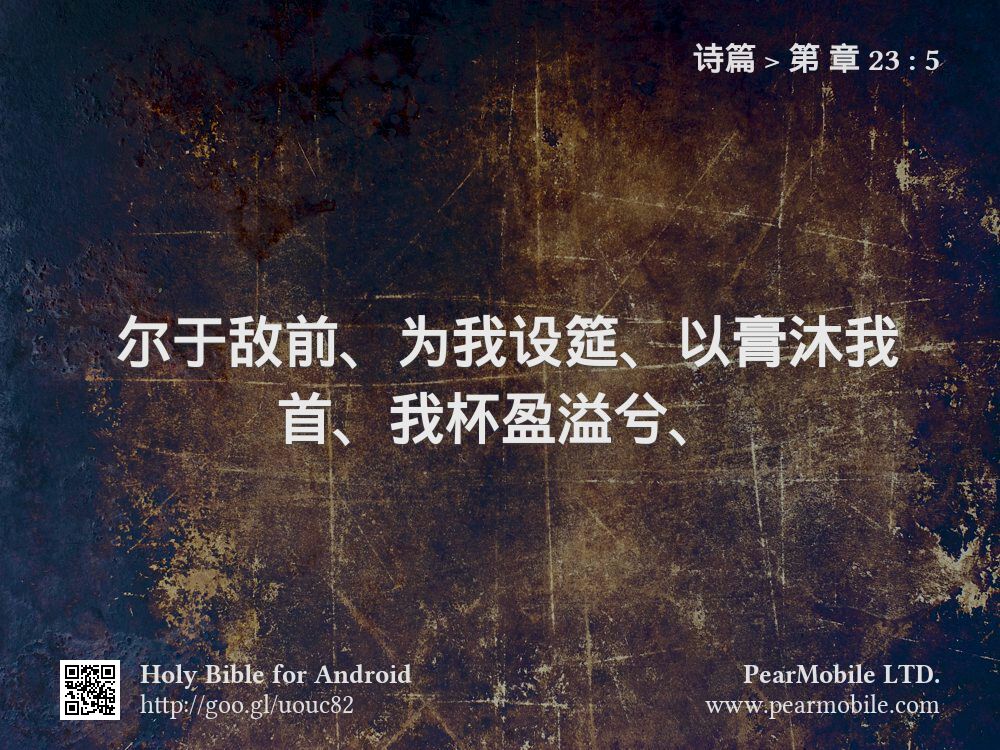 诗篇, 第 章 23:5