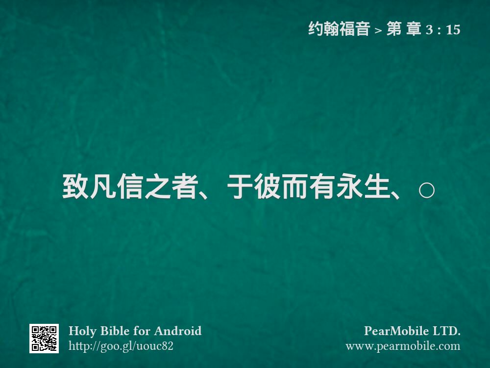 约翰福音, 第 章 3:15