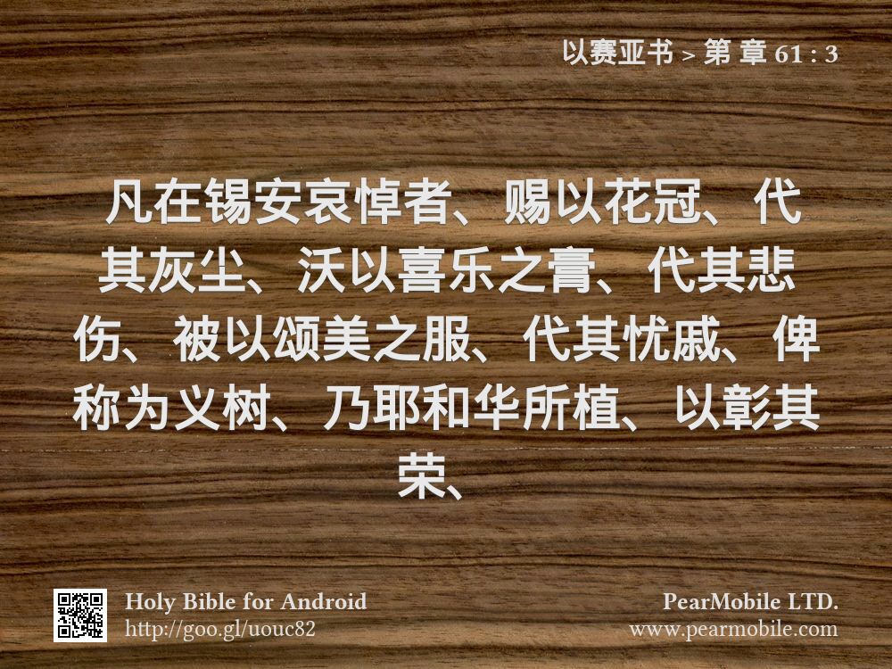 以赛亚书, 第 章 61:3